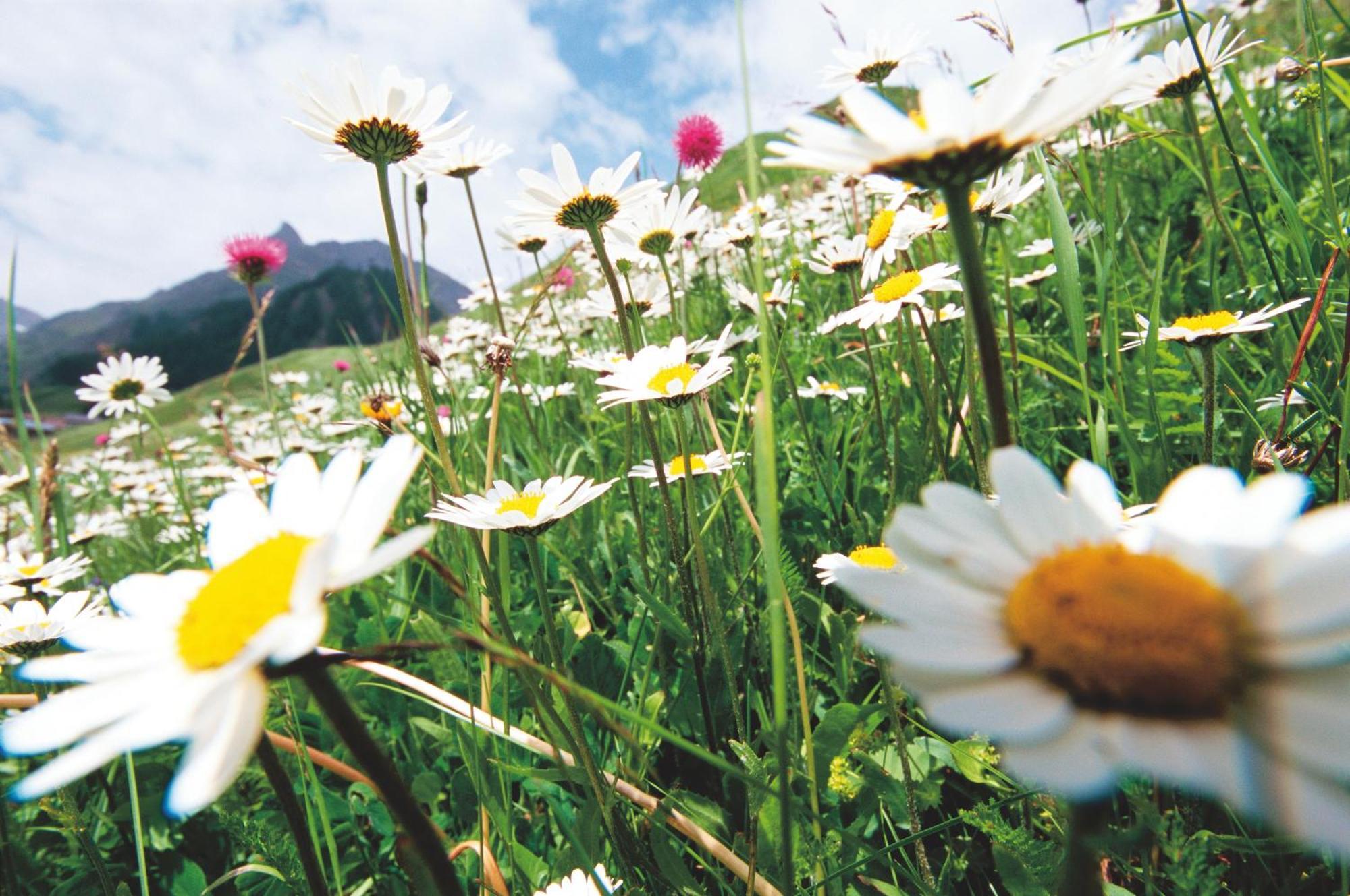 Hotel Garni Muttler Alpinresort & Spa Samnaun Buitenkant foto